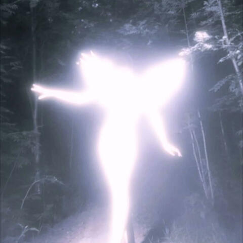 Endless Hope album art