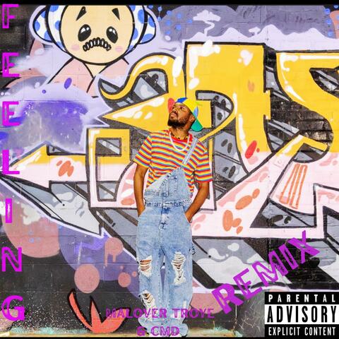 Feeling (Remix) album art
