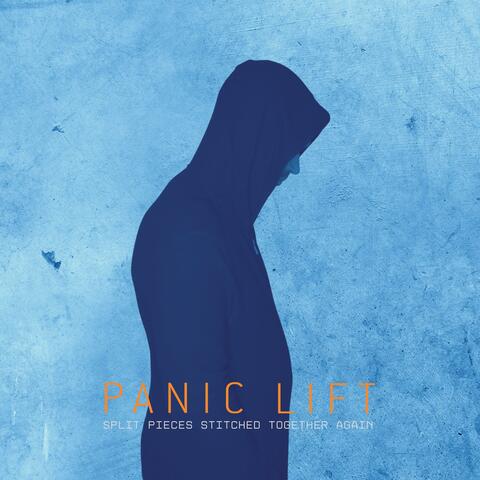 SPLIT PIECES STITCHED TOGETHER AGAIN album art