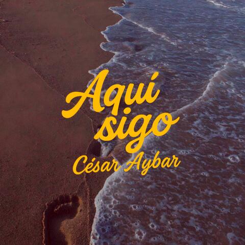 Aquí sigo album art
