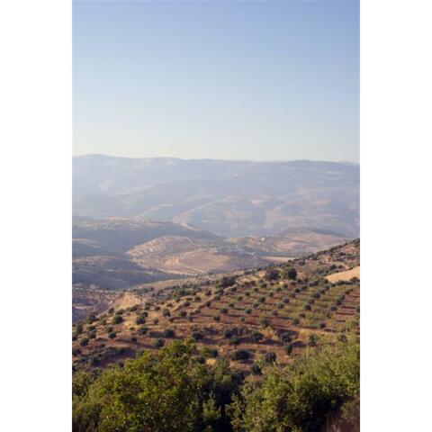 ערב מול הגלעד album art