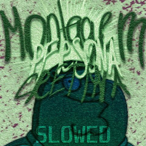 MONTAGEM PERSONA CRETINA (SLOWED) album art