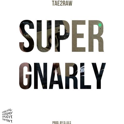 Super Gnarly album art