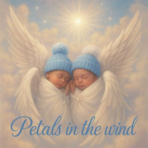 Petals in the wind album art