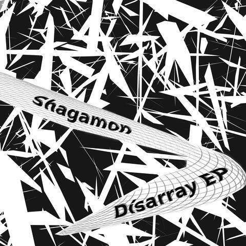 Disarray album art
