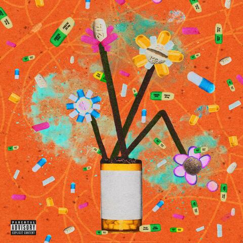 I WANT MY FLOWERS BUT, I NEED MY PRESCRIPTION album art