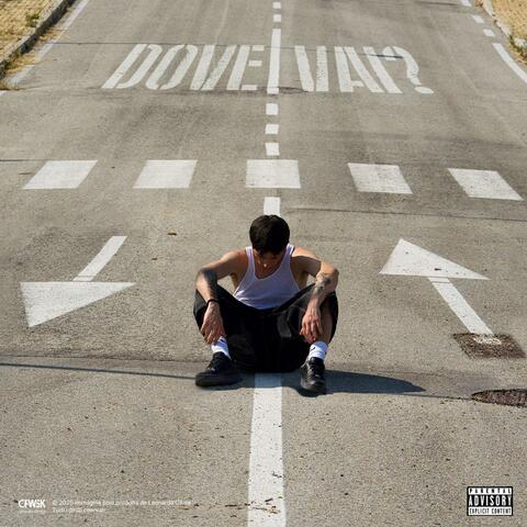 Dove vai album art