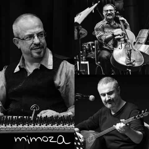 Mimoza album art