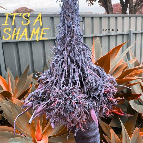It's a shame album art