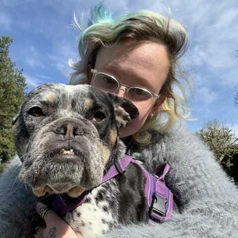 Missy Missy Moo Cow album art