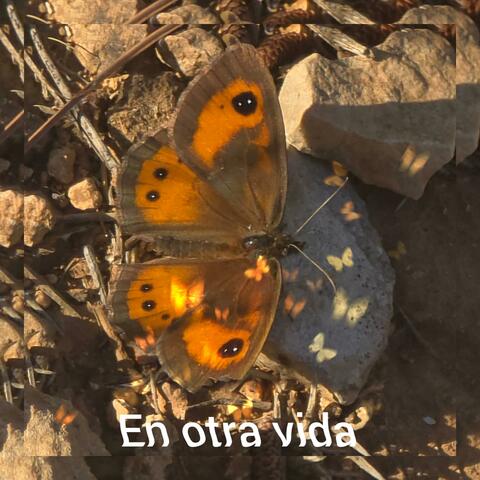 Te Perdí - Full Song (Instrumental) album art