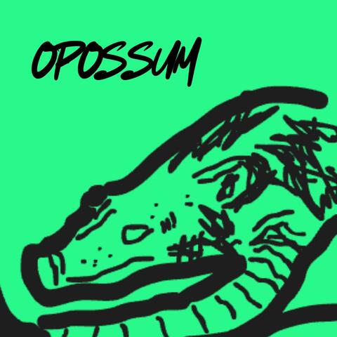 Opossum album art