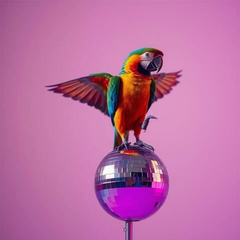 Ay Si album art