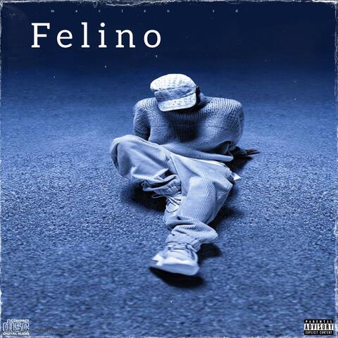 Felino album art