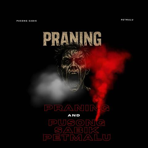 Praning album art