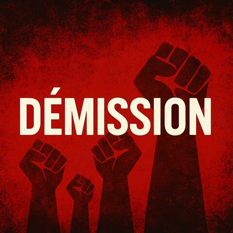 Démission album art