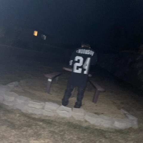 it$ the Lake album art