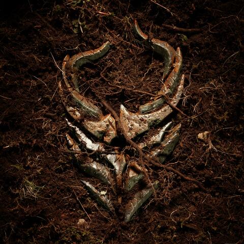 The Pain In Me Is Gone album art
