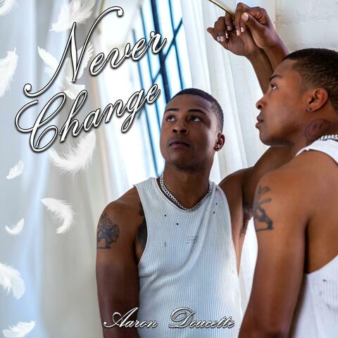 Never Change album art