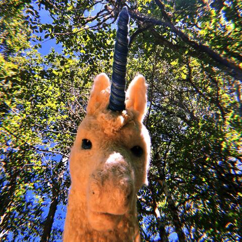 Why Not Me album art