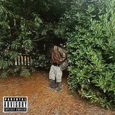 The Secret Well! album art