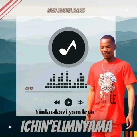 YINKOSKAZ YAM LEYO album art
