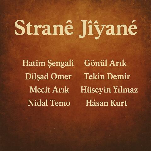 Stranê Jîyanê album art