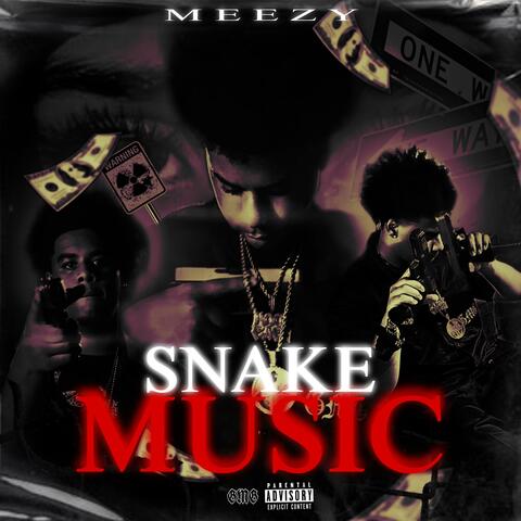 Snake Music album art