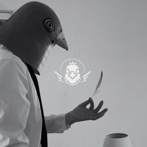 In the Name of the Feather album art