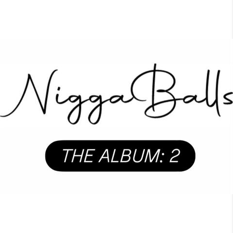 NIGGA BALLS: THE ALBUM 2 album art