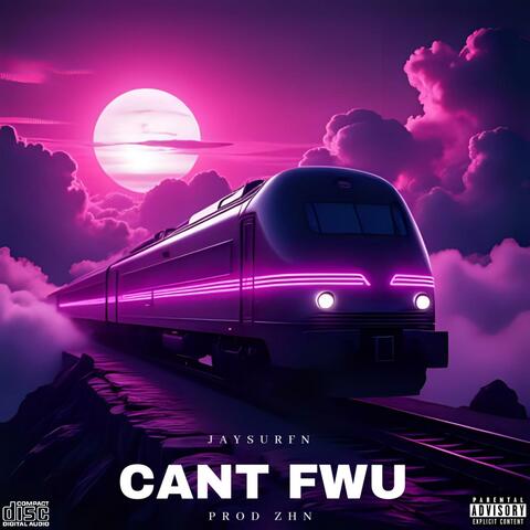 CAN'T FWU (PROD ZHN) album art