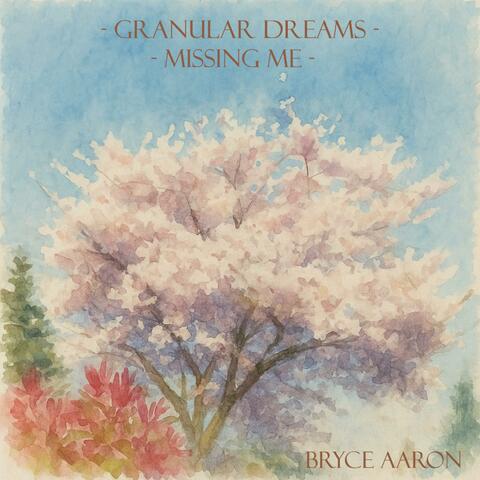 GRANULAR DREAMS / MISSING ME album art