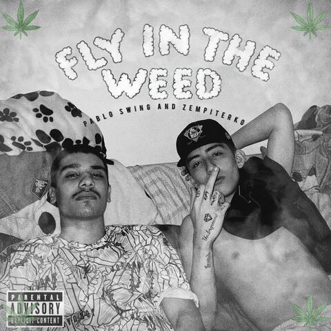 Fly In The Weed album art