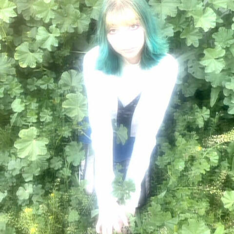 P.D.A. album art