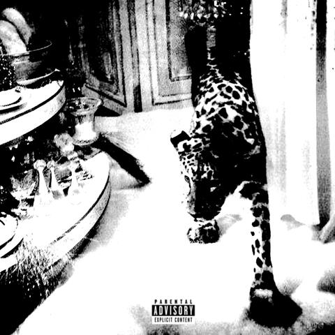 0003 album art