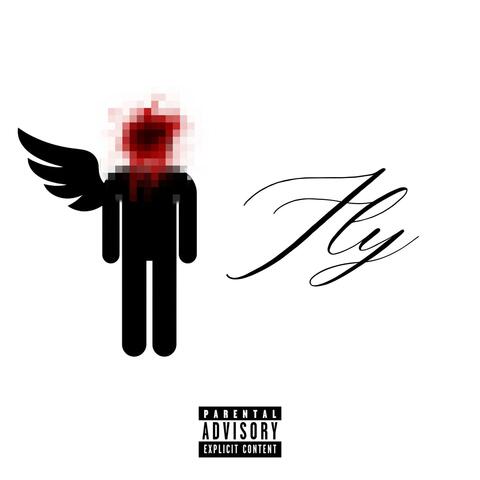 Fly album art