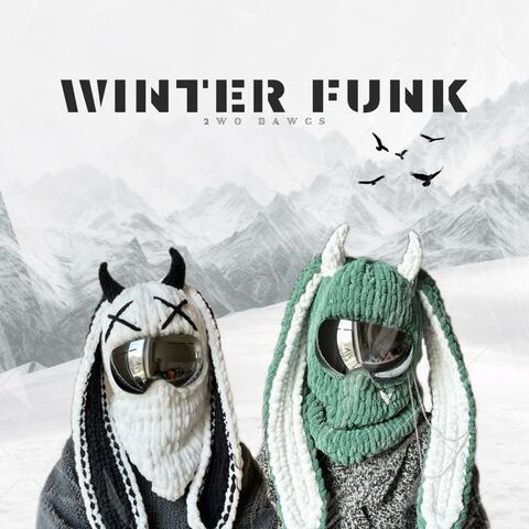 Winter Funk album art