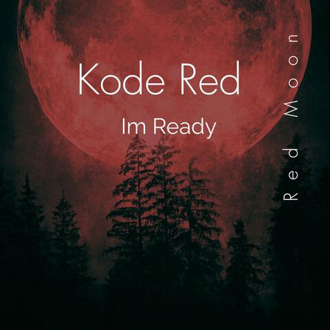 Im Ready album art