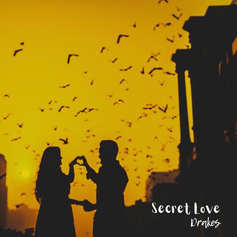 Secret Love album art