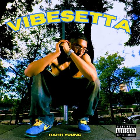 VIBESETTA album art