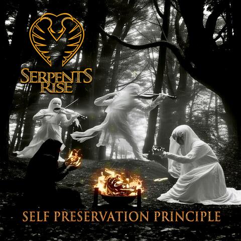 Self Preservation Principle album art