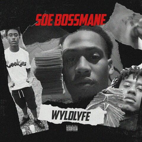 Wyld Lyfe album art