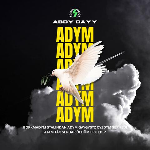 ADYM album art