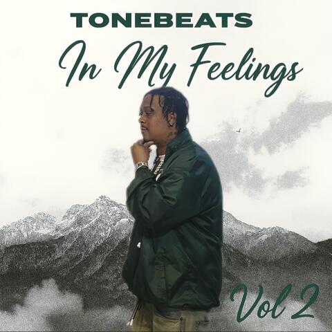 In My Feelings, Vol. 2 album art