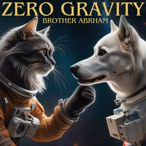 Zero Gravity album art