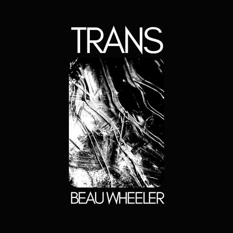 Trans album art