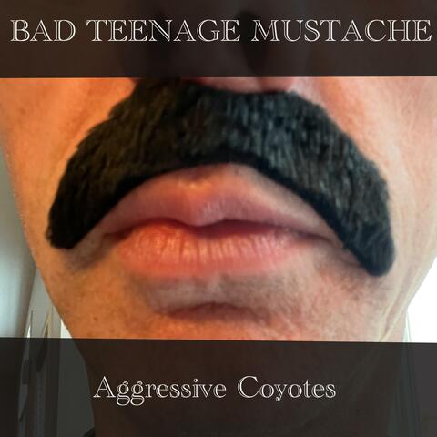 Bad Teenage Mustache album art