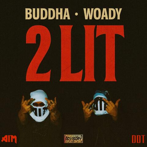 2 Lit (feat. Woady) album art