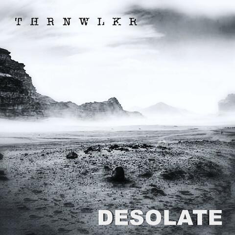 Desolate (feat. Chris Hisel) album art