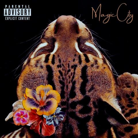 Magic City album art